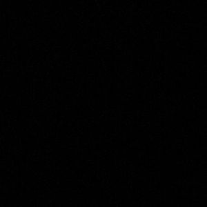 Meet your Posher, Terry